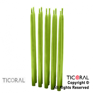 VELA 2294 VERDE MANZANA COMUN PORTAVELA x 10